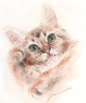 楽しい猫　猫の絵　猫の肖像画・似顔絵　水彩画　watercoloer-cat-no.10