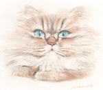 日差を見上げる猫の絵　猫の肖像画・似顔絵　水彩画　cat-watercolor-no.4