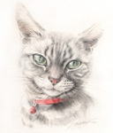 お澄ましな猫の絵　猫の肖像画・似顔絵　水彩画　cat-watercolor-no.5