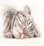 眠ったい猫の絵　猫の肖像画・似顔絵　水彩画　cat-watercolor-no.6