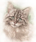 何だろうな猫の絵　猫の肖像画・似顔絵　cat-watercolor-no.8