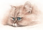 見つめる猫の絵　猫の肖像画・似顔絵　水彩画　cat-watercolor-no.9