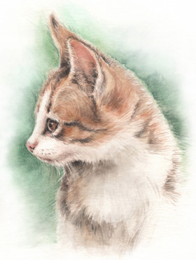 何かに注目する猫の目−猫の水彩画-cat-watercolor