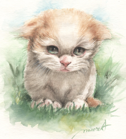 いたずらしそうな子猫の目−猫の水彩画-cat-watercolor