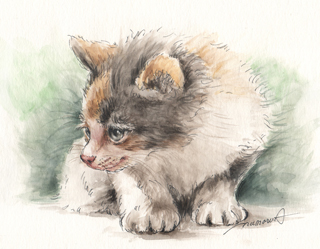 これ食べれるかな！　何か見つめる子猫の絵　猫の似顔絵・肖像画　ペン＆水彩スケッチ　cat-pen-watercolor-sketch-1-p-image