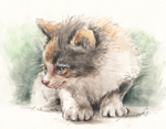 これ食べれるかな！　何か見つめる子猫の絵　猫の似顔絵・肖像画　ペン＆水彩スケッチ　cat-pen-watercolor-sketch-1