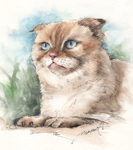 ムムなんだ　遠くを見つめる猫の絵　猫の似顔絵・肖像画　ペン＆水彩スケッチ　cat-pen-watercolor-sketch-3