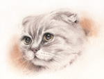 本当にドラえもんのようですね　猫の絵　猫の肖像画・似顔絵　パステル画　pastel-cat-2