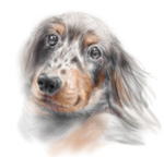 長い鼻と長いヒラヒラの耳の毛が自慢　ミニチュアダックス　犬の絵　ＣＧ画　jane dog-other-cg-5