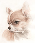 チワワ　犬の絵　犬の肖像画・似顔絵　水彩画　dog-no.12
