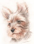 見下ろす考える犬の絵　犬の肖像画・似顔絵　水彩画　 dog-no.4