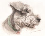 精悍な横顔の犬の絵　犬の肖像画・似顔絵　水彩画　 dog-no.5