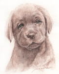 頭を傾げた優しげな犬の絵　犬の肖像画・似顔絵　水彩画　 dog-no.6