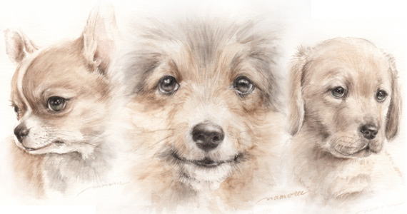 犬の絵　犬の肖像画・似顔絵　水彩画・鉛筆画・パステル画　dog-portrait-gallery-watercolor