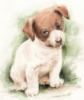 聞き耳を立てるジャックラッセルテリア　犬の絵　水彩画　watercolor-jack-russell-terrier-dog-18-p-image