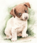 聞き耳を立てるジャックラッセルテリア　犬の絵　水彩画　watercolor-jack-russell-terrier-dog-18-p-image