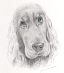 顔がとても長い　犬の絵　犬の肖像画・似顔絵　鉛筆画　pencil-dog-no.5