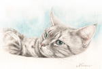 猫の肖像画・似顔絵ギャラリー　cats portrait gallery