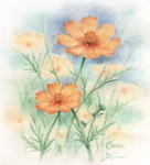 黄色いコスモスの絵　花の絵　水彩画　other flower-watercolor-no.7