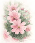 ピンクのコスモスの絵　 花の絵水彩画　other flower-watercolor-no.8