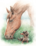 草原の馬と犬の絵 水彩画　watercolor-horse-dog-other-9