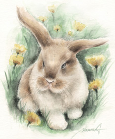 何かやる気のあるウサギの絵−水彩画-rabbit-watercolor