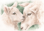 愛情のある　優しい羊の親子　水彩画　sheep-love-watercolor