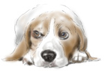 視線が気になる犬の絵　ＣＧ似顔絵・肖像画スケッチ