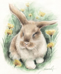 勝気なウサギ　似顔絵・肖像画-水彩画　rabbit-watercolor
