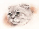 ドラえもんの様な猫の絵　パステル画・似顔絵・肖像画　pastel-cat